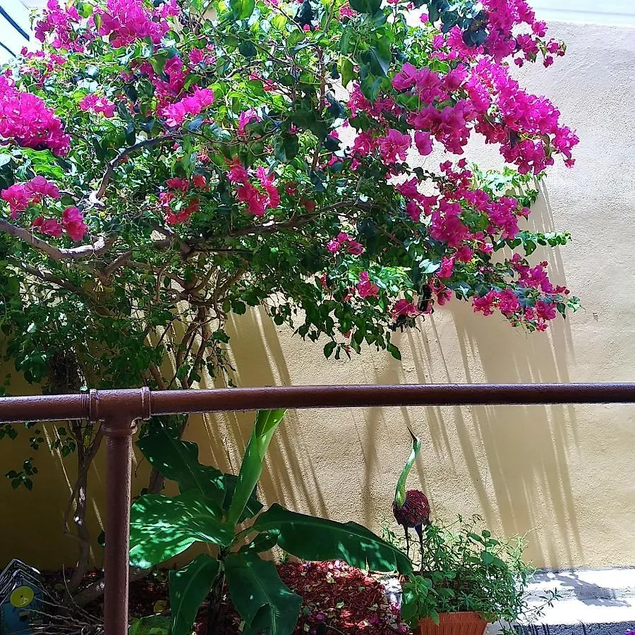 Cozy Nest Apartment Guayama